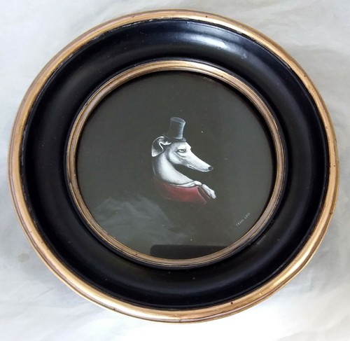 Greyhound whippet dog a - greyhound, whippet-