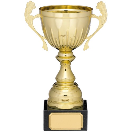 Gold cup presentation - cup, laurel
