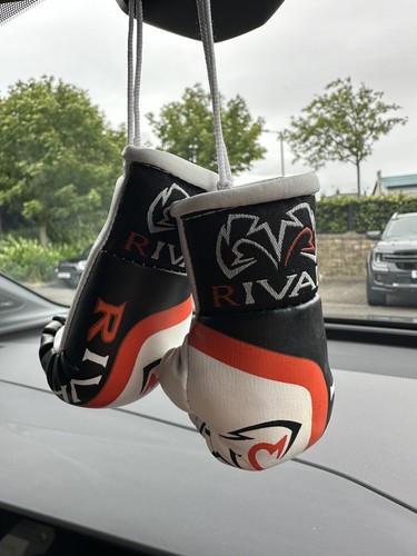 Boxing gloves keychain - gloves,