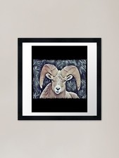 Mouflon Horn Sheep Framed Art