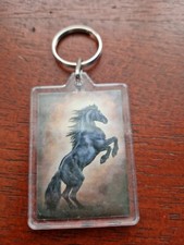 * rearing black stallion