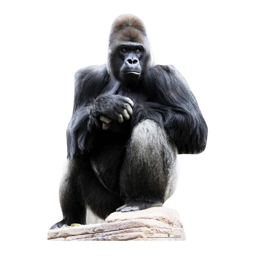 Gorilla cardboard cutout - gorilla,