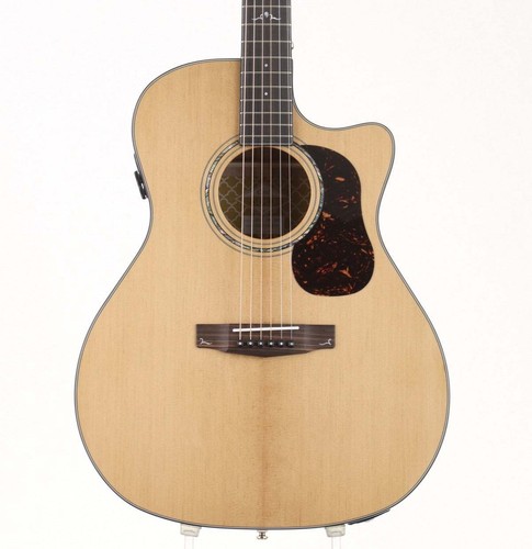 Cort gold series - gold, nat
