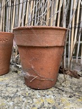 Vintage Clay Small Plant Pots Garden Potting Shed Rustic Job Lot Bundle