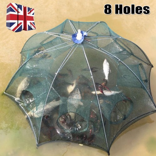 Holes crab trap - crab, net