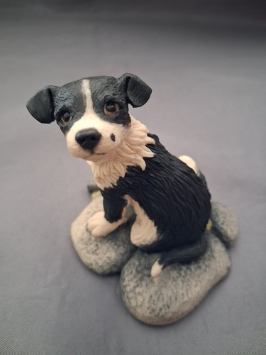 Border fine arts collie - arts, pup