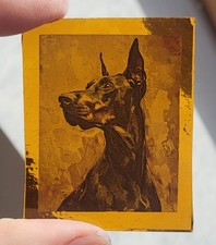 Stained glass Doberman dog
