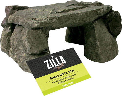 Pet reptile terrarium - reptile, shale