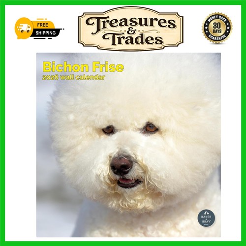 Charming bichon frise - charming,