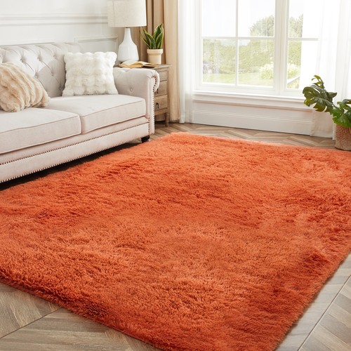 Fluffy rugs large - shaggy, rug