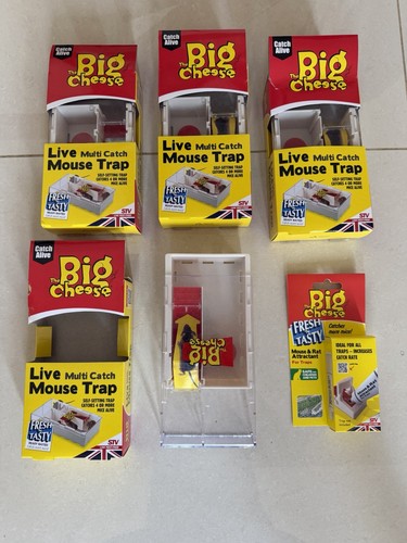 The big cheese - the, live