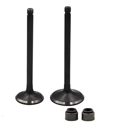 Inlet exhaust valve - inlet,