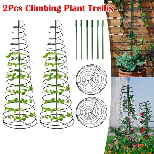 2pcs climbing plant - 2pcs,
