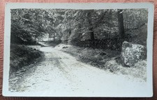 Country Lane Road, Tree Lined, Unknown Location, Real Photo RP Early Postcard