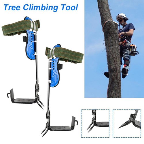 Adjustable lanyard tree - lanyard,