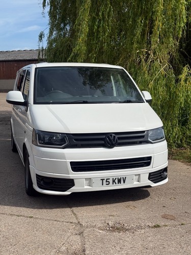 Transporter dog walking - vw, t5