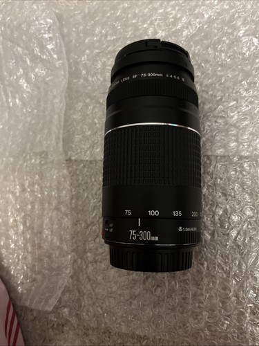 Canon 300mm 5 - 75-300mm, f/4-5.6