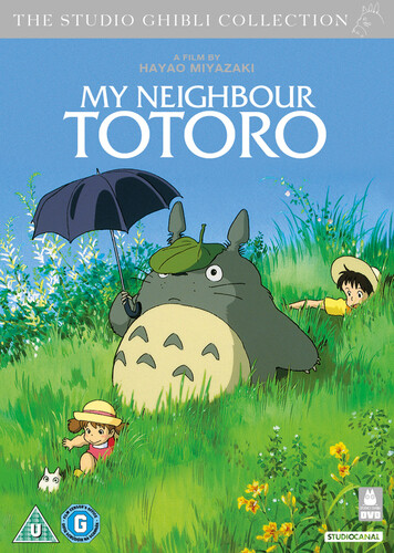 Neighbour totoro dvd - my,