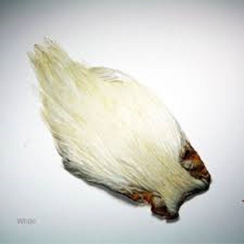 Veniard indian cock - veniard,