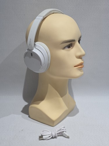 Sony ch720n noise - sony,