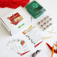 Deluxe Chilli Growing Kit –