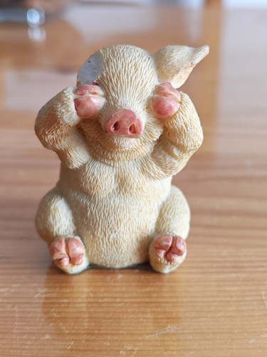 Not see evil pig - do,