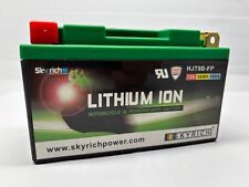 Rotax Max SkyRich Lightweight Kart Battery New -680g - NextKarting Kart Shop