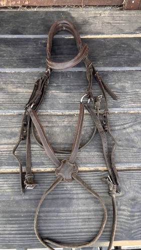 Lemieux grackle bridle - grackle, full
