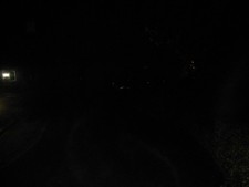 laura ashley rosalind pale