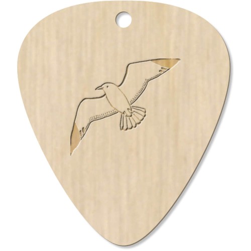 Seagull guitar picks - guitar,
