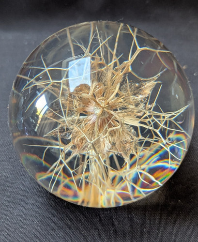 Vintage hafod grange seed - hafod,