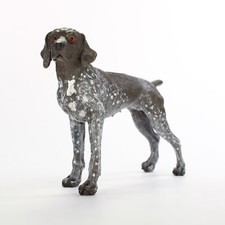German Shorthaired Pointer