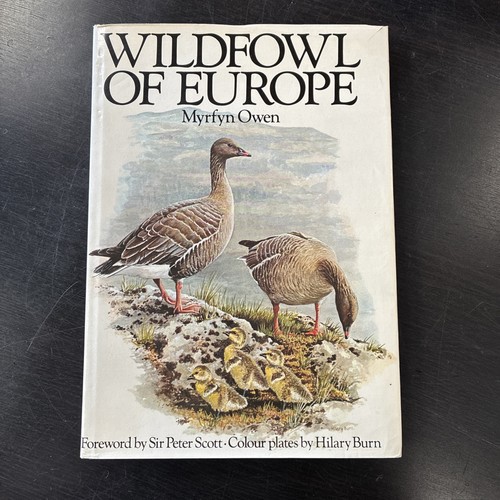 Wildfowl europe owen - europe,