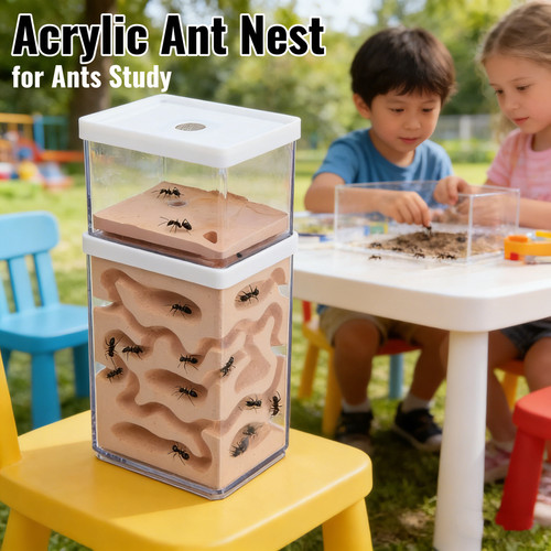 Level ant insect nest breeding - level,
