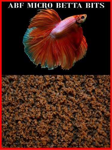 Abf ultra micro floating betta - floating,