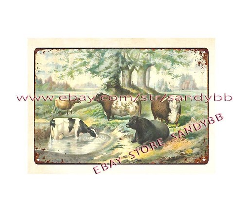 Cattle breeds poster - cattle, tin