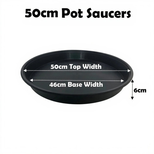 50cm plant pot - plant,