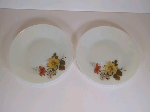 Vintage jaj pyrex - vintage, glory
