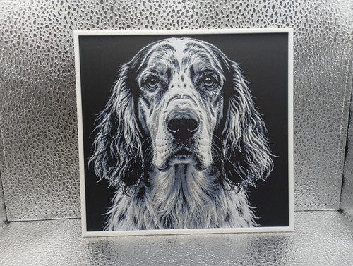 English setter hueforge - english,