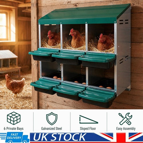 Nesting boxes for chickens - nesting, chickens,6