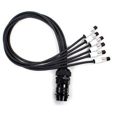 Socapex Spider - Neutrik Grey