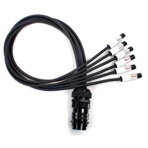 Socapex spider neutrik - -,