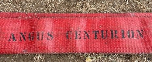 Angus centurion lay - ￼lay, flat
