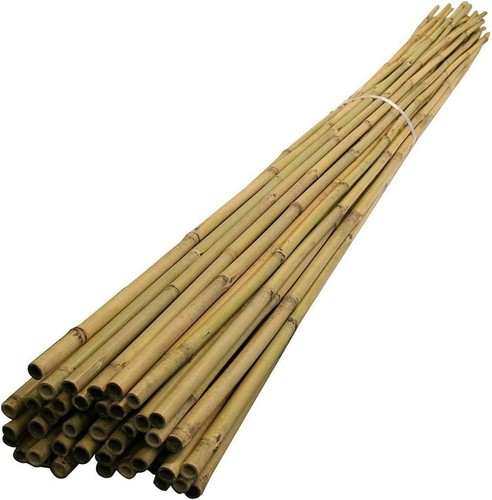 6ft strong garden bamboo - 10, x
