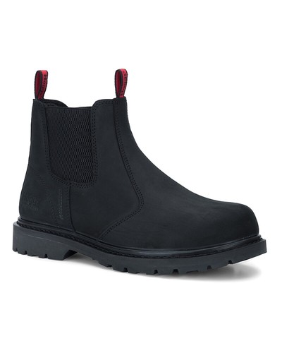 Hoggs fife zeus safety - of,