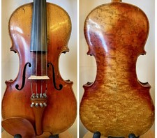 Superb and Beautiful Birds Eye