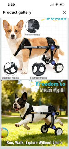 Letpetrun dog adjustable pet - letpetrun,