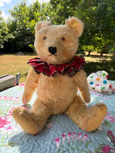 Steiff bear circ - bear, with