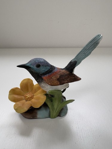 Purple backed fairy wren - wren,