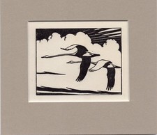 Peter Scott  ~ Flying Swans ~ Black & White Genuine Original Vintage Print 1942